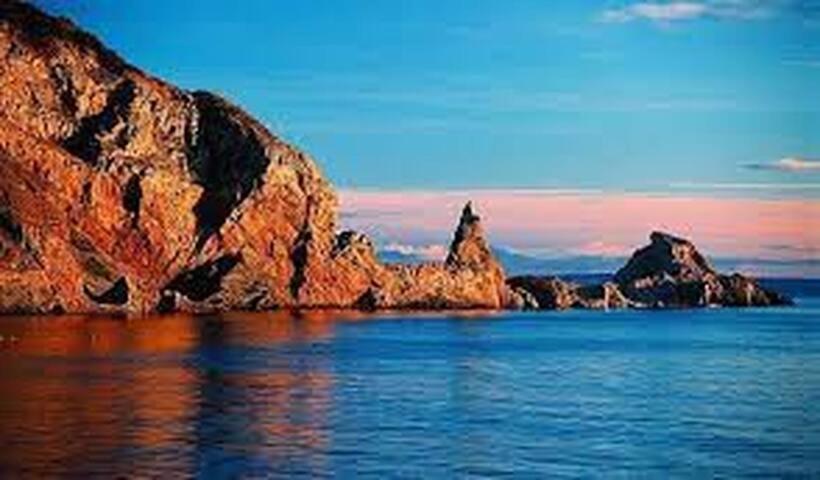 Halekulani Devon Homestay Torquay Eksteriør bilde