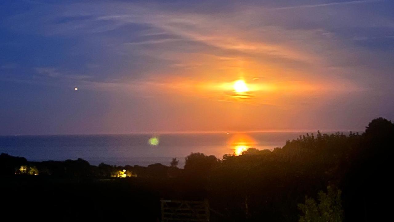 Halekulani Devon Homestay Torquay Eksteriør bilde