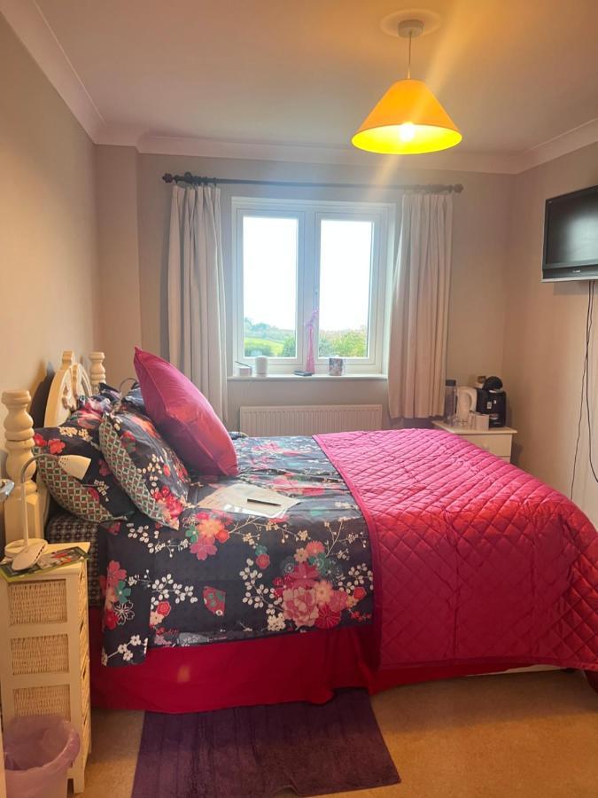 Halekulani Devon Homestay Torquay Eksteriør bilde